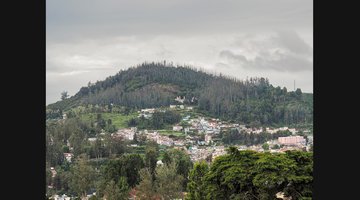 Ooty Nilgiris Guide: Toy Train, Tea Gardens and Botanical Gardens