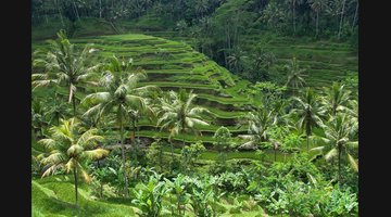 Bali Travel Guide for Indians: Ubud, Uluwatu and Beach Clubs