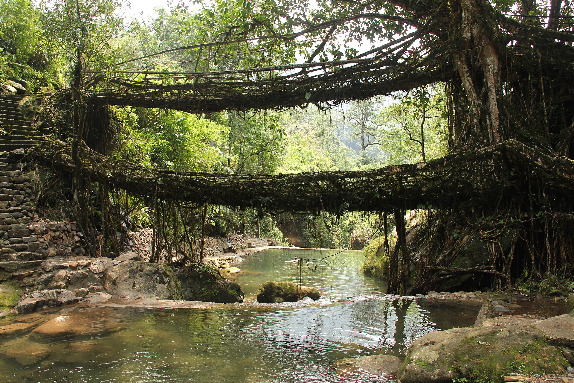 Meghalaya Discovery — Shillong, Cherrapunji & Living Root Bridges