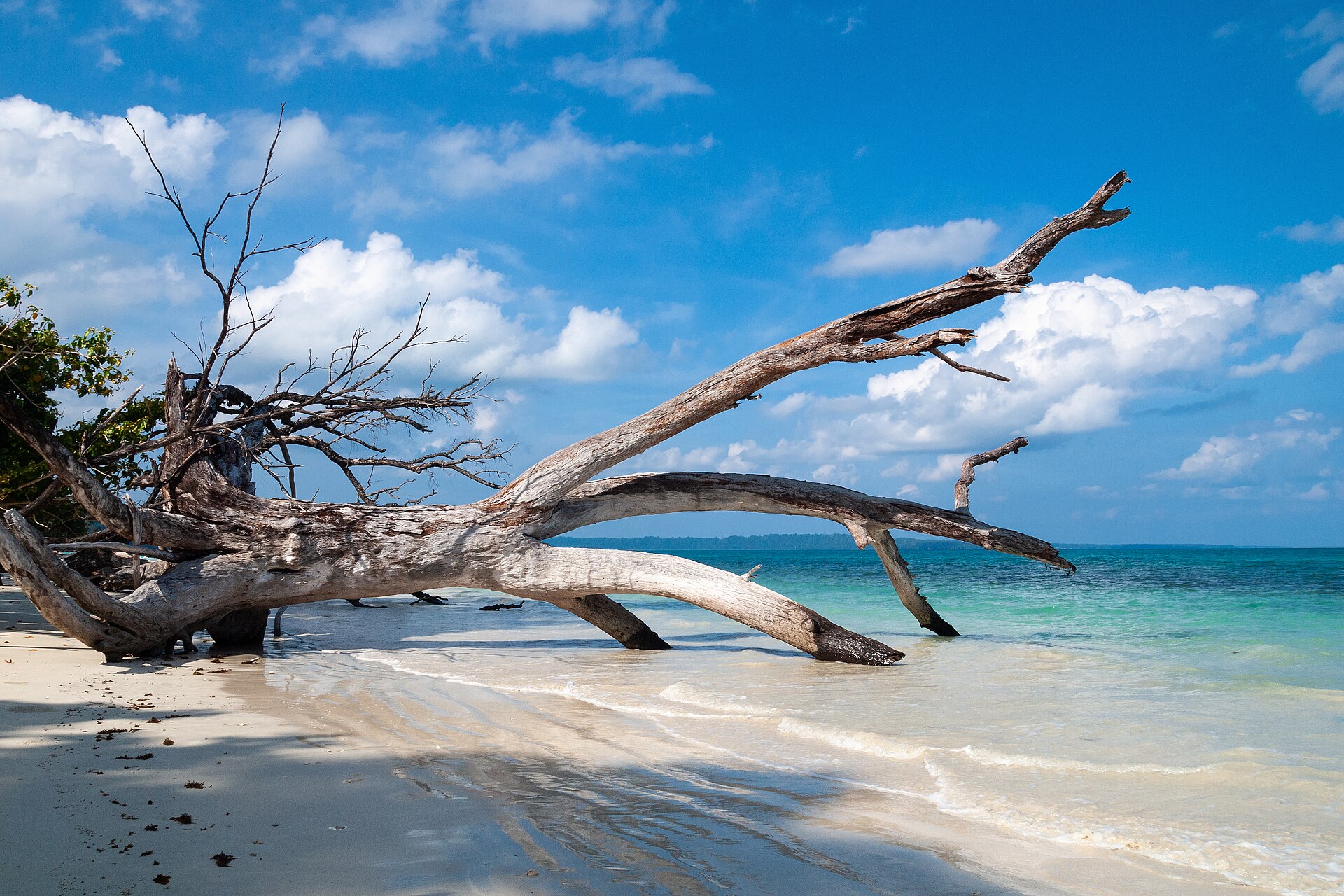 Andaman Havelock Premium Beaches - 4N/5D
