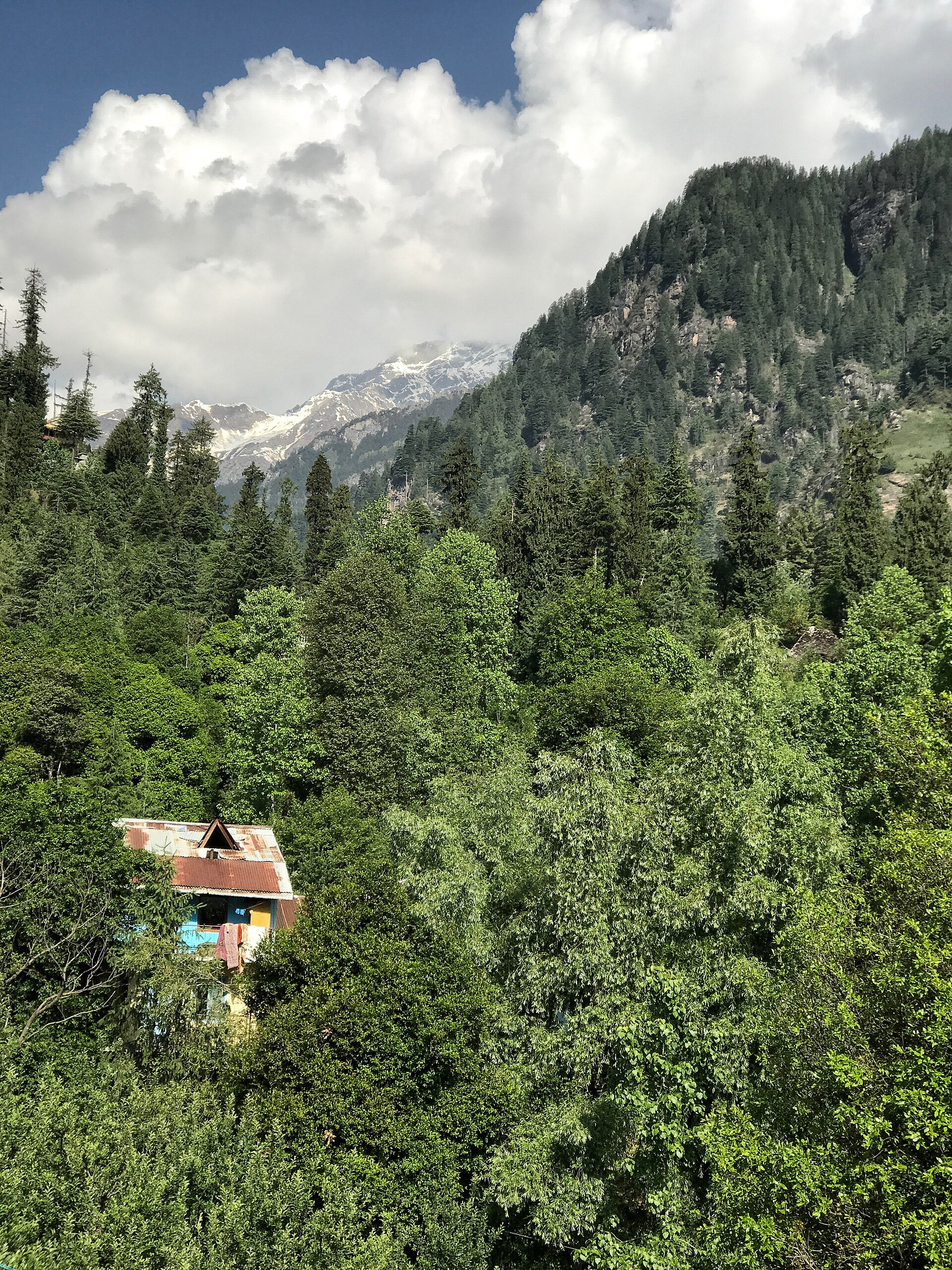Shimla Manali Honeymoon — Snow Valleys & Apple Orchards