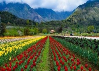 Kashmir Paradise on Earth - 5N/6D